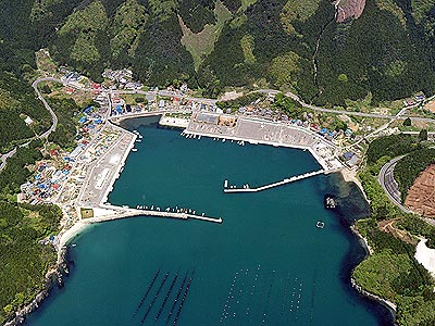 momonoura
