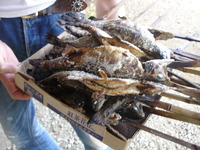 DSC00060