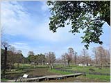 早春の水元公園
