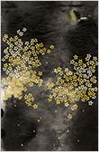 f50315a2.jpg
