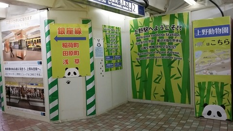 cf3eaa89.jpg