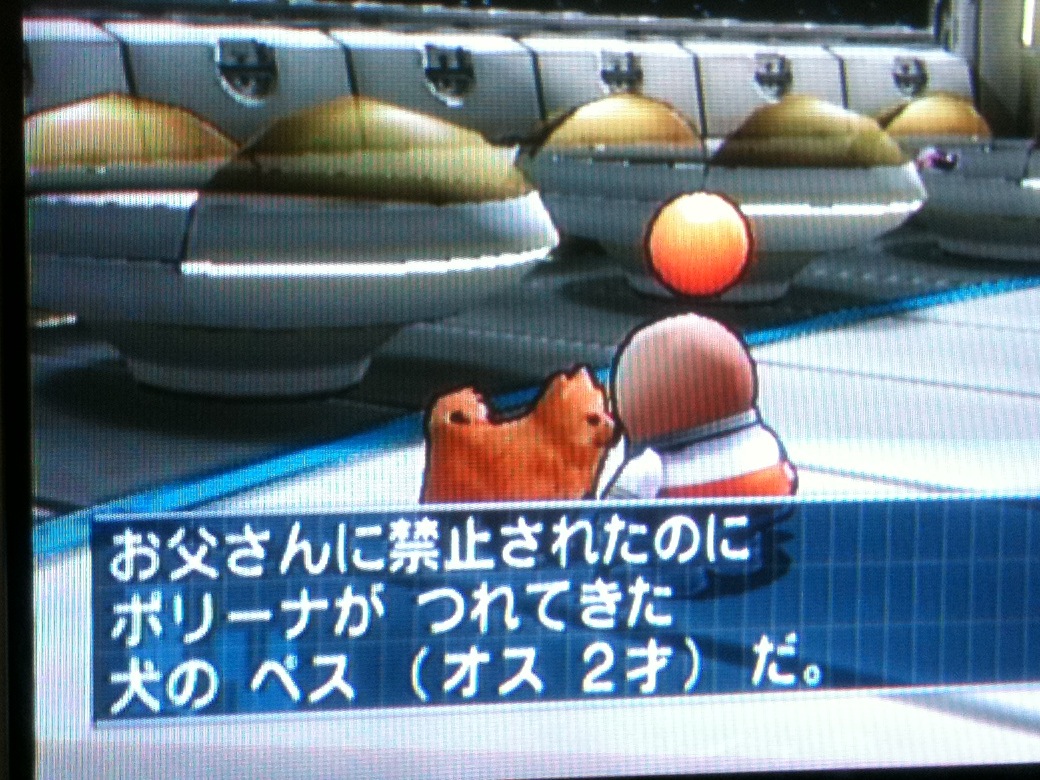 獣交尾 の掲示板投稿写真＆画像