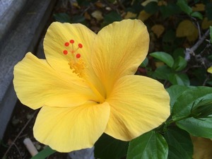 IMG_2126