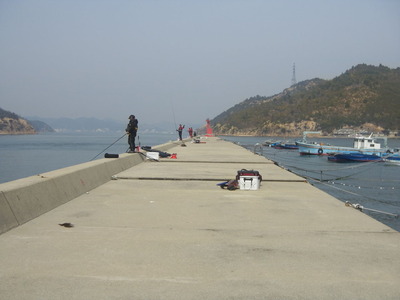 RIMG0096
