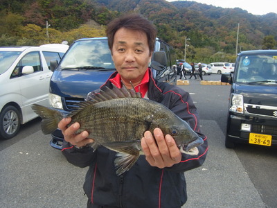 RIMG0084