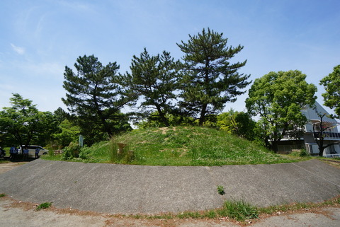 DSC04473