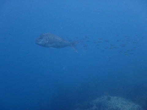 P8192232
