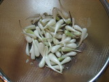 2006052804