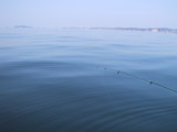 2006030501