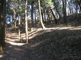 2005121001