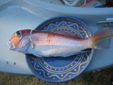 2008010601