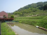 2006050103