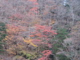 2005112802