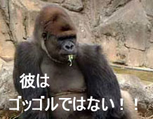 ¥´¥Ã¥´¥ë¤¸¤ã¤Ê¤¯¤Æ¥´¥ê¥é