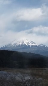 27481e2c.jpg