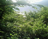 38cf4054.jpg