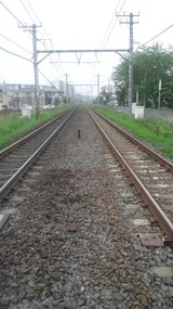 41fbe83c.jpg