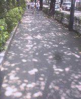 5b3b9314.jpg