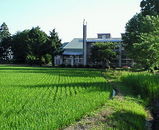 69df0211.jpg