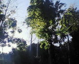 6abb58f3.jpg