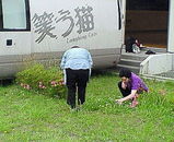 9d069360.jpg