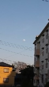 d1102f0b.jpg