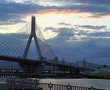 e16e70c6.jpg