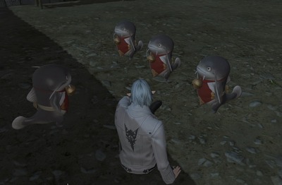 ffxiv_20170621_114808