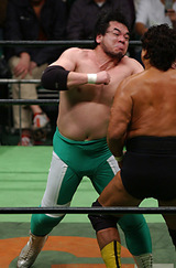 a0fcff51.jpg