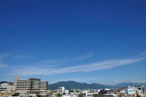 DSC_7280-s