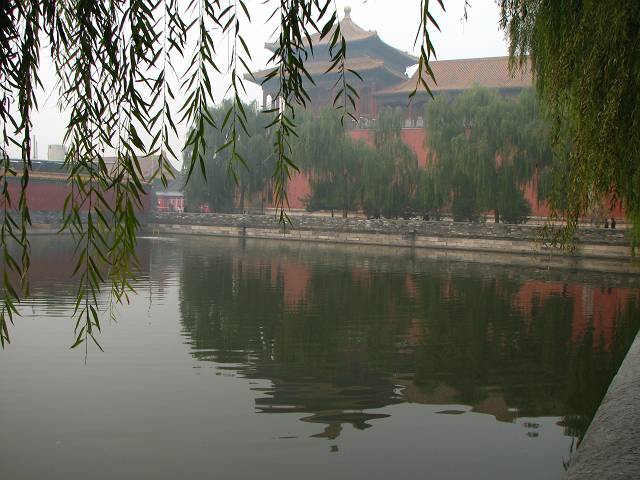 30591752.jpg