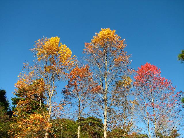 3f1f446a.jpg