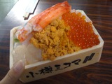 ikura