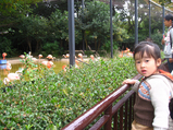 08年天王寺動物園01