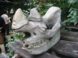 08年天王寺動物園03