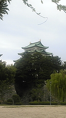 DVC00008