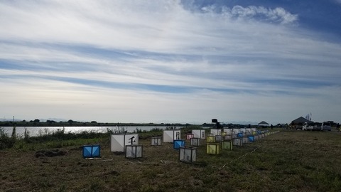 20180818_154947