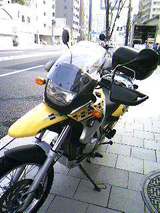 307649f9.jpg