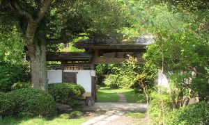 20100710_99_7