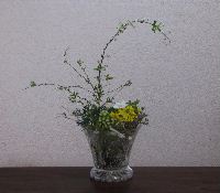 20100316_51
