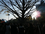 DSCF6961