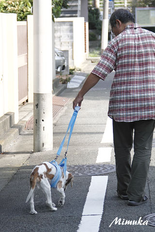 朝は気持ちいいのぅ〜