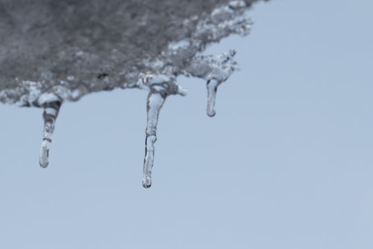 blg130120-001