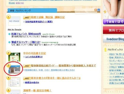 20110125blogranking3i
