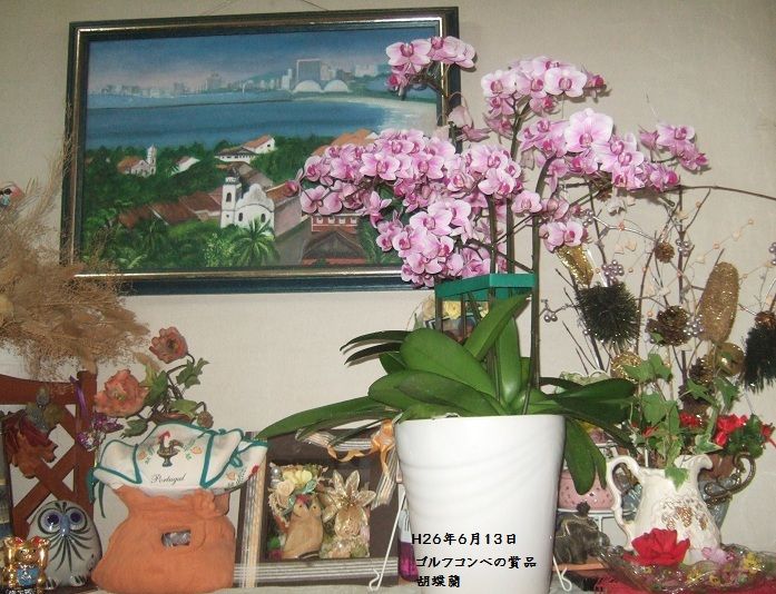DSCF1096