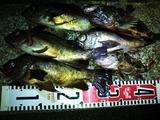 3326b360.jpg