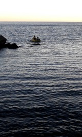 719d6634.jpg