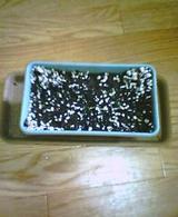 20040719_1649_0000.jpg