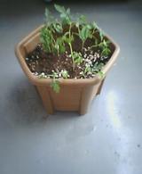 20040719_1647_0000.jpg