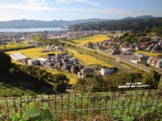 写真 (17)